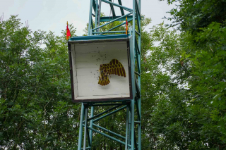 DSC05572