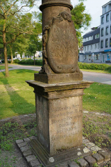 DSC08006
