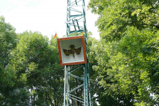 DSC09592