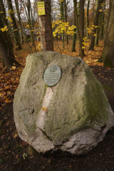 20241123-DSC01271