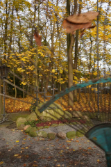 20241123-DSC01276