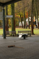 20241123-DSC01279