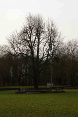 20241123-DSC01281