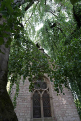DSC02973