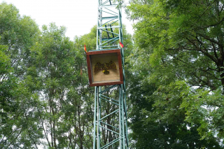 DSC05482
